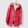 Averlyss | Sophisticated Jacket